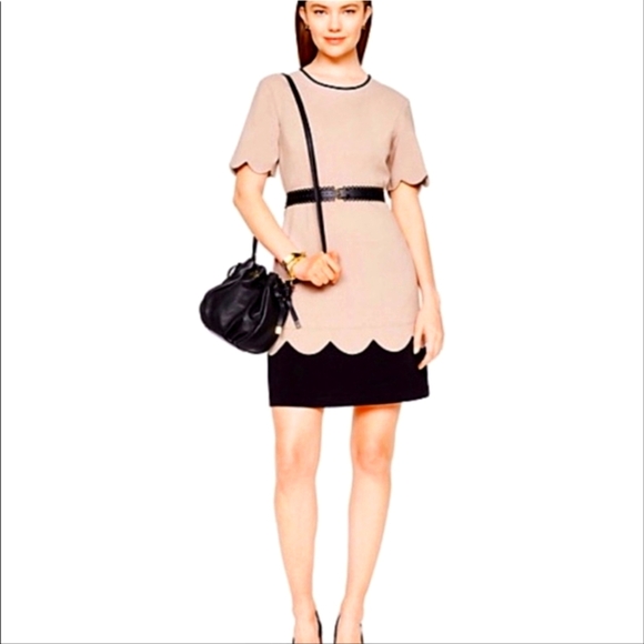 Kate Spade Sponge Crepe Scallop Dress - Picture 1 of 10